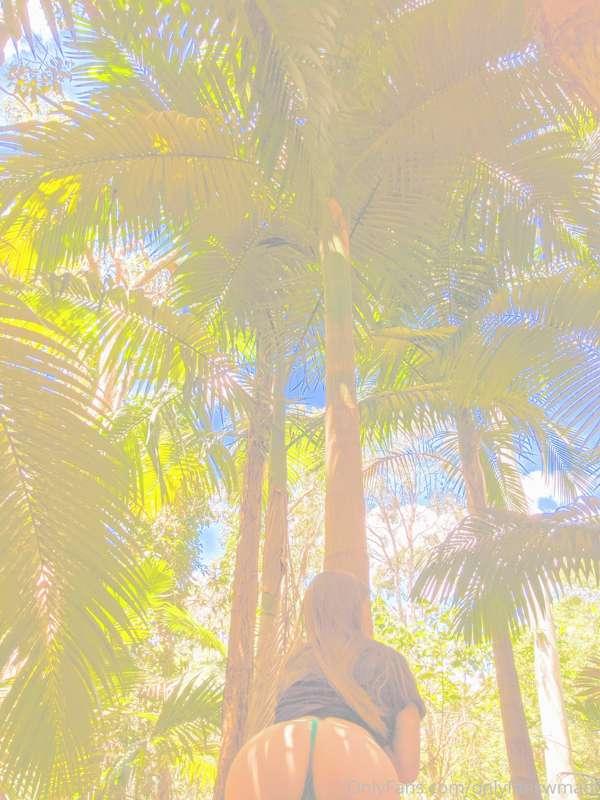 Palm trees r sexy