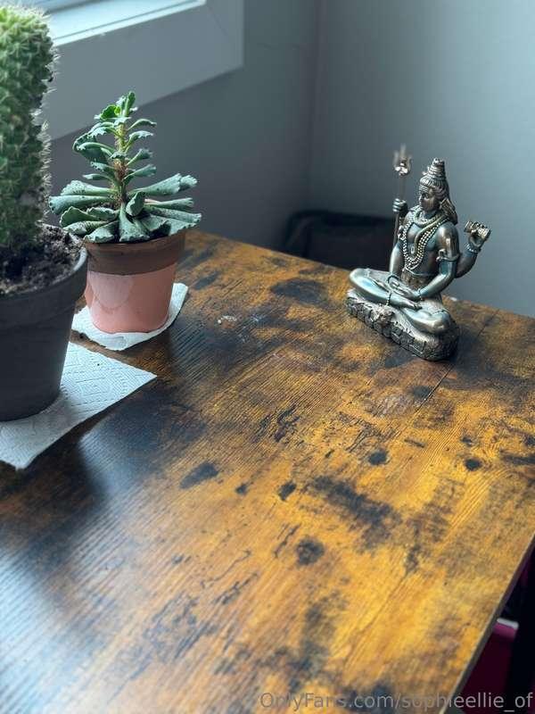 Shiva on cactus watch.