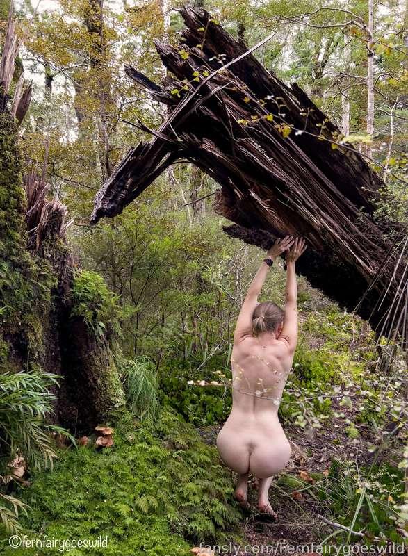 I loved posing with that splintered tree! There are so many good photos in that series!

#outdoors #nudism #naturism #curvy #artistic #mature