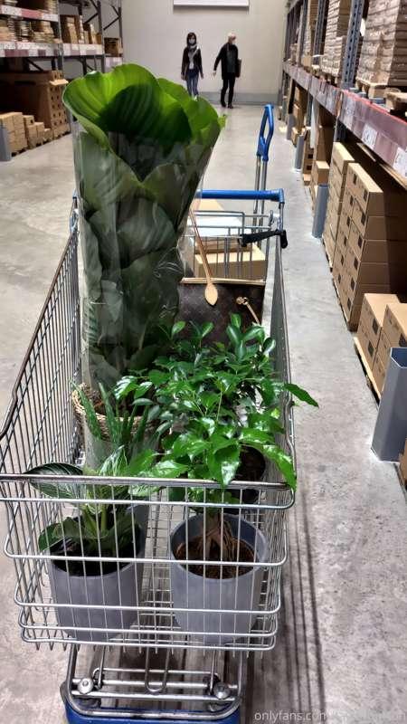 yesterday ikea, today obi but before i had a great fuck ... ..