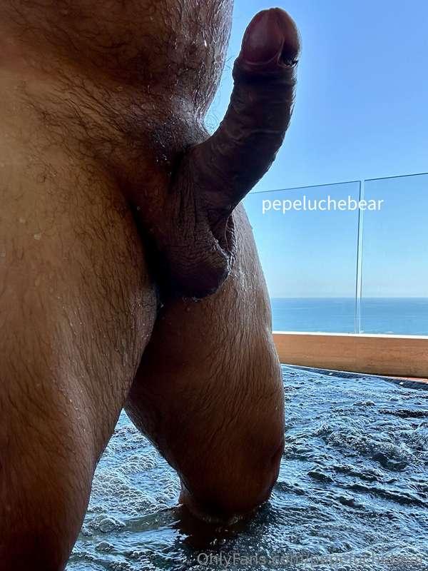 pepeluchebear main image