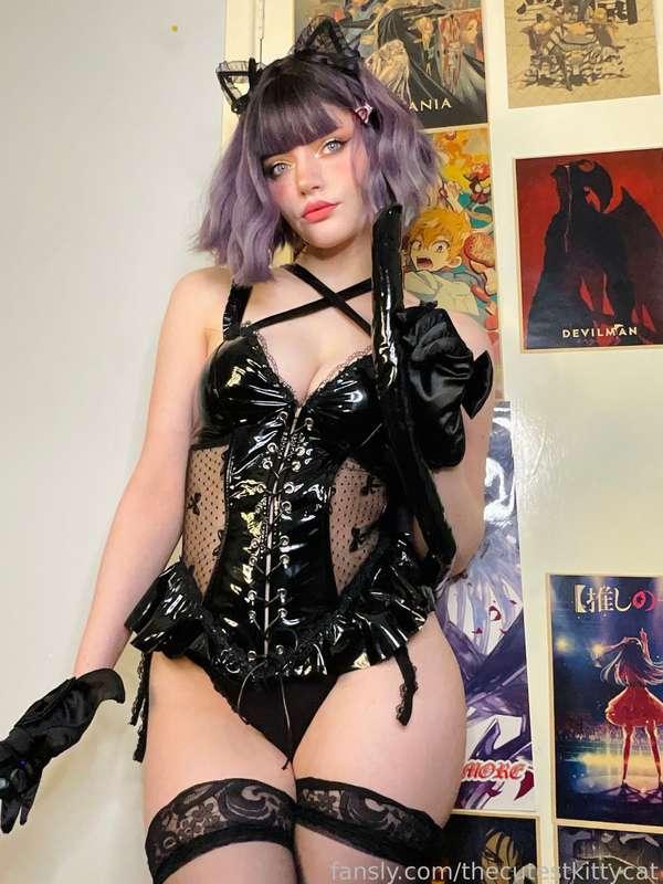 thecutestkittycat image #15