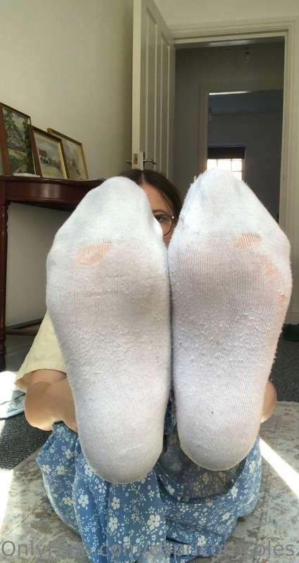 These old socks need sniffing