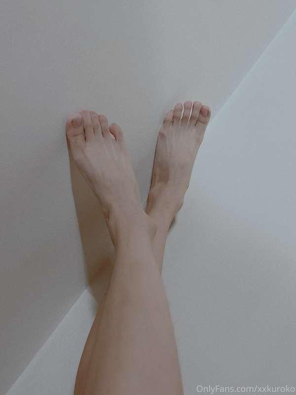 ✨