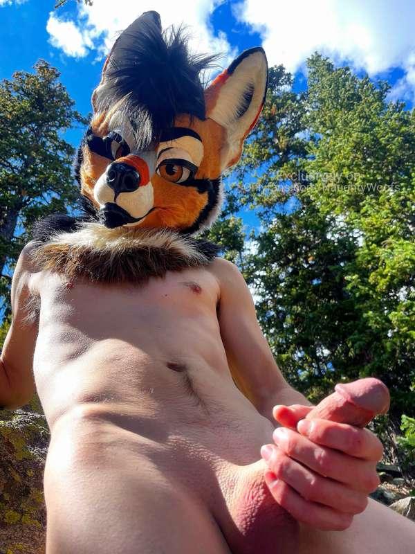 naughtywoofs image #0