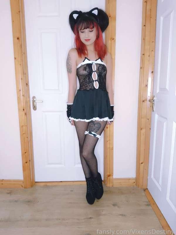 vixensdestiny image #1