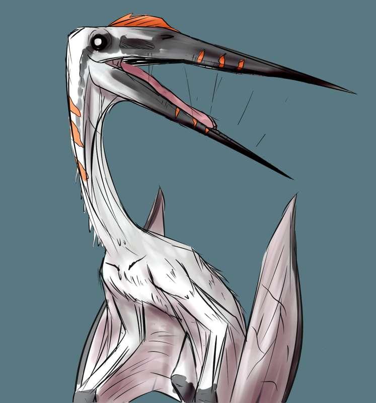 Quetzalcoatlus Sketch