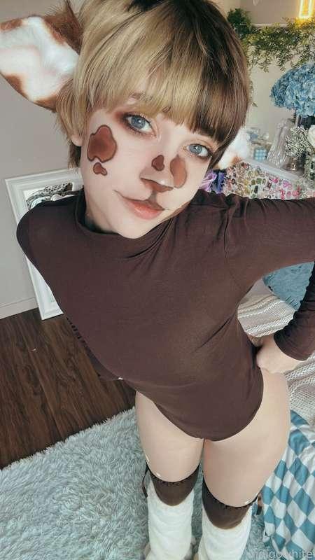 indigowhite image #128