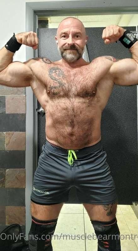 musclebearmontreal image #0