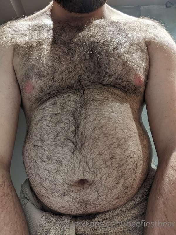 beefiestbear image #0