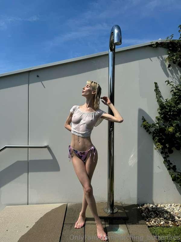 fetching_butterflies image #3