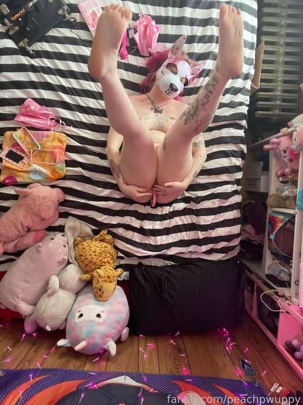 peachpwuppy image #17
