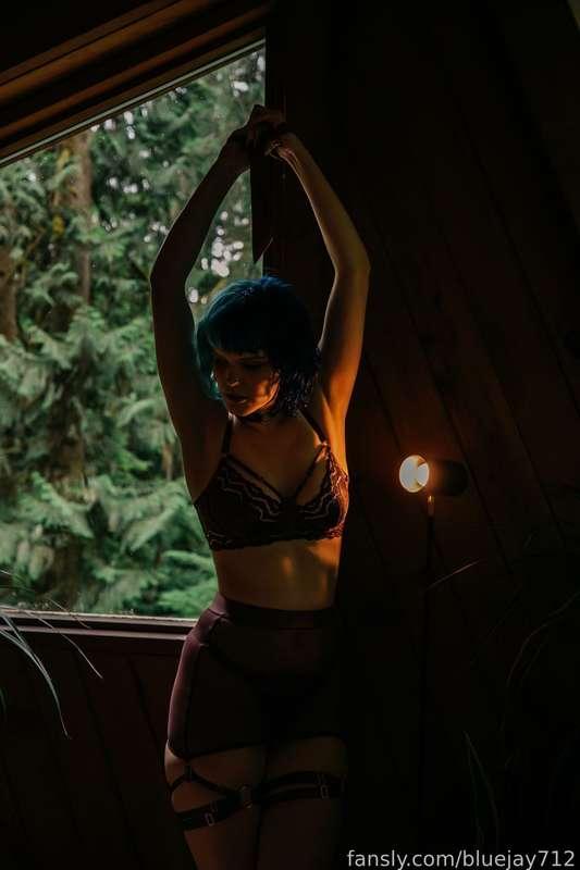 bluejay712 image #30