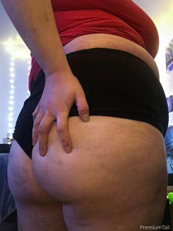 freebeafiesty image #1