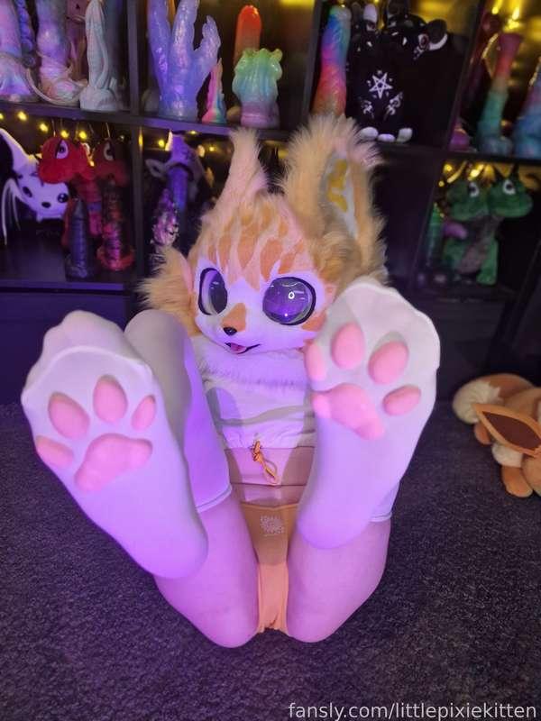 littlepixiekitten image #1