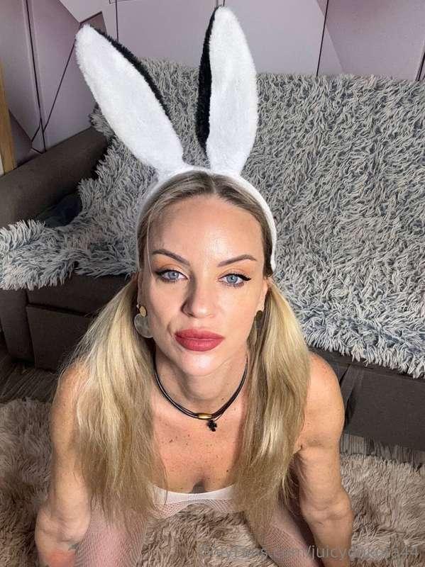 What should rabbits be fed? 😅By the way, by the way, which p..