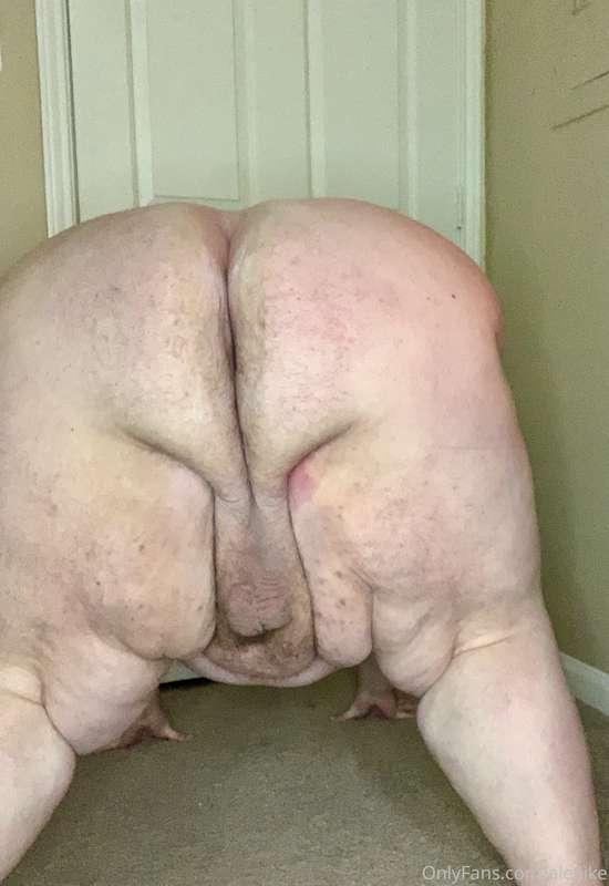 Hump dayyyy who wants cake?