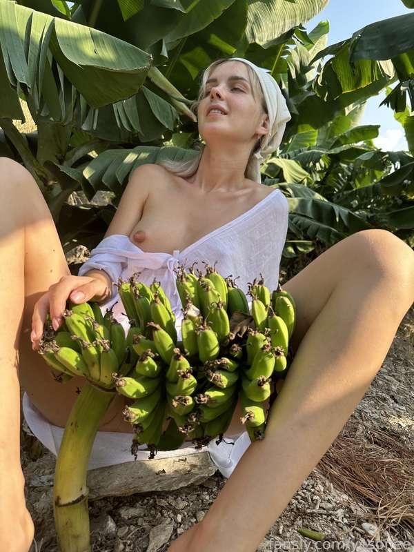 yesonee image #2