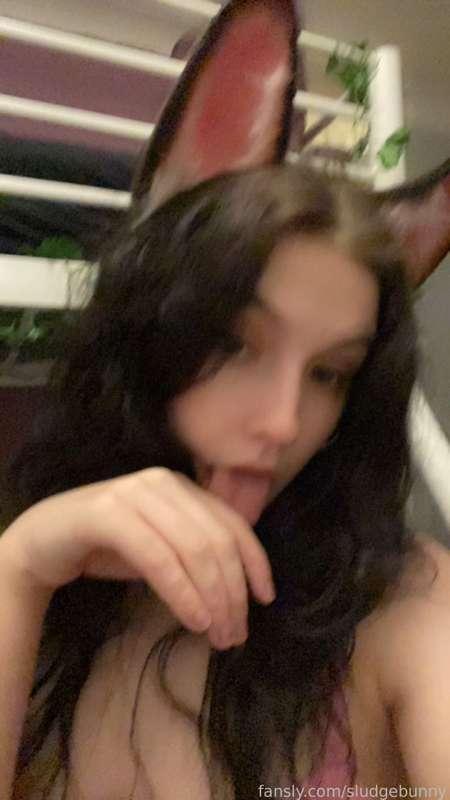 sludgebunny image #1