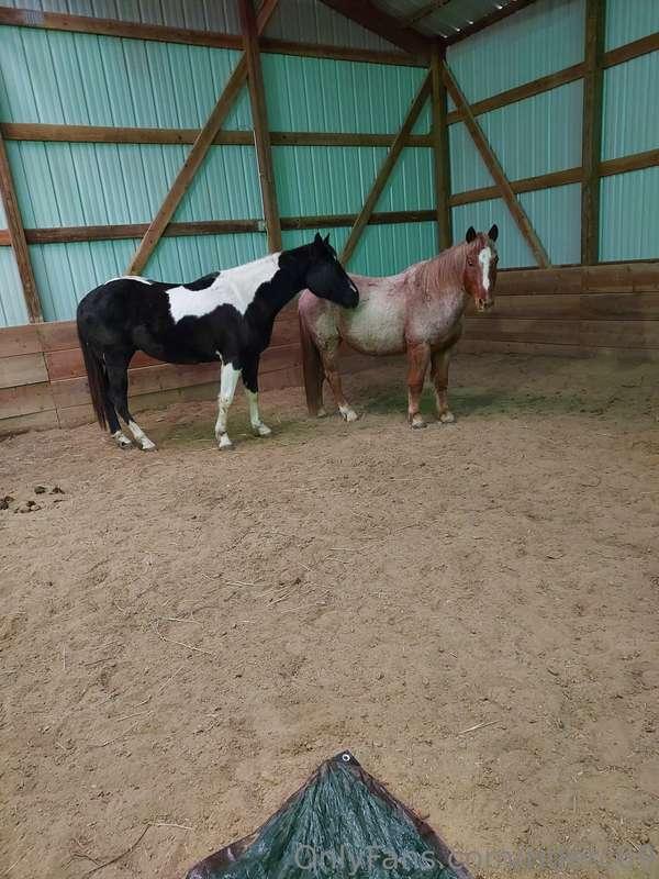 My rescue boy is here! Yesterday was his first day in traini..