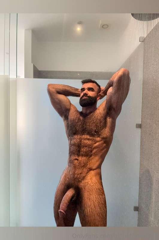 alphatopwolf22 image #2