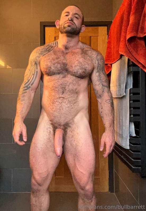 bullbarrett image #0