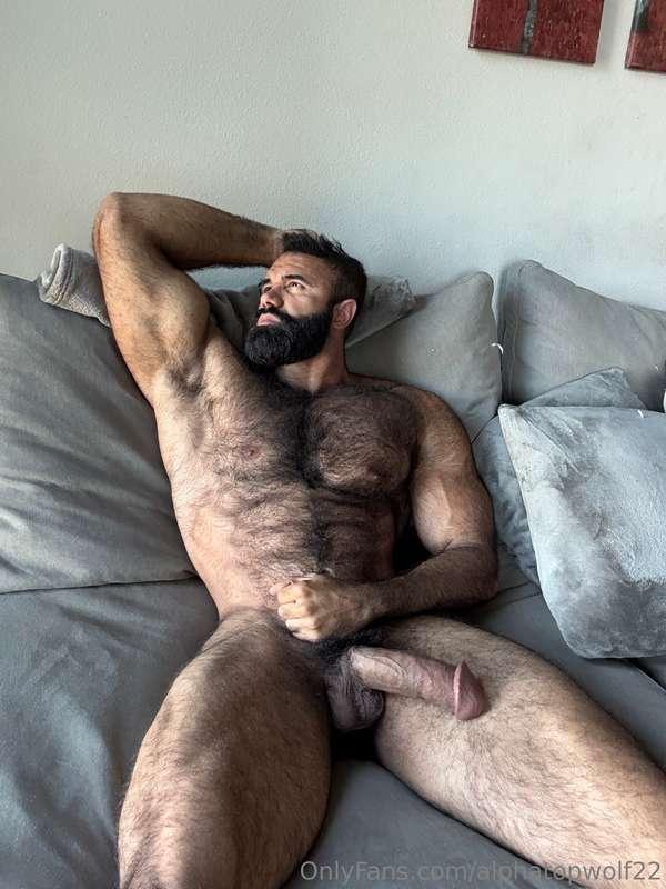 alphatopwolf22 image #2