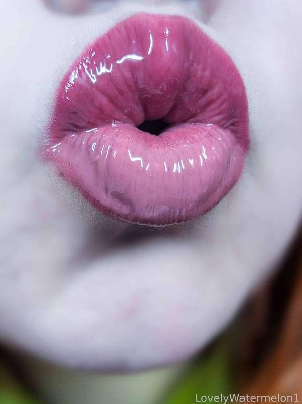 lovelywatermelon1 image #10