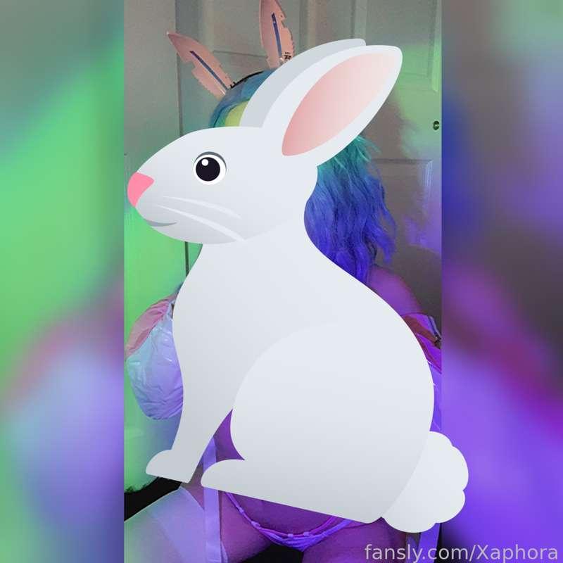 xaphora image #0