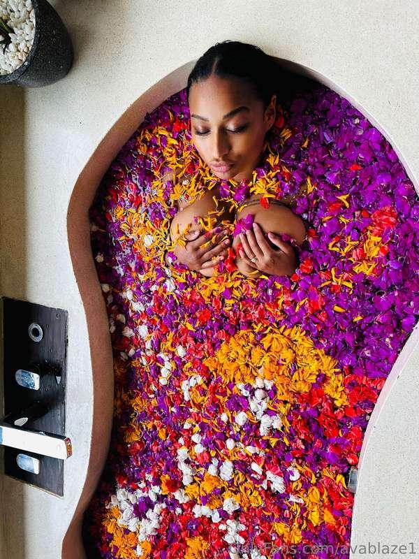 What a beautiful shoot ! The rest of the photo shoot on requ..