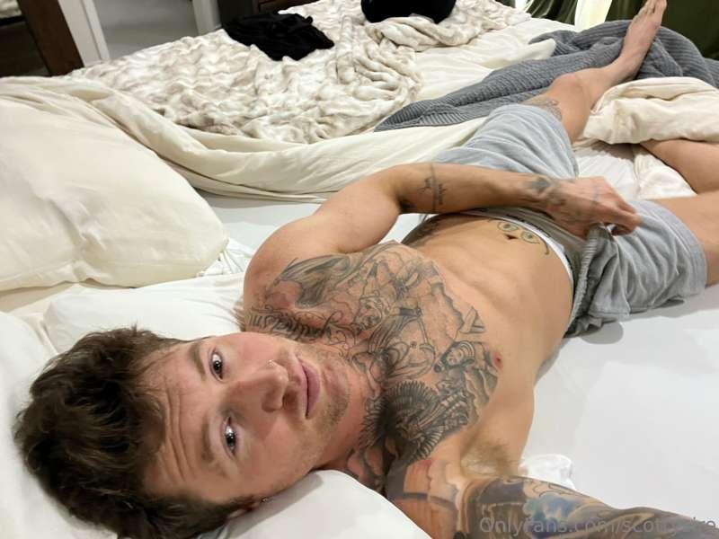 scottysire image #1