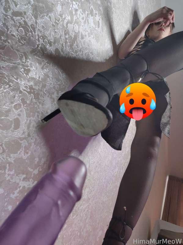 himamurmeow image #0