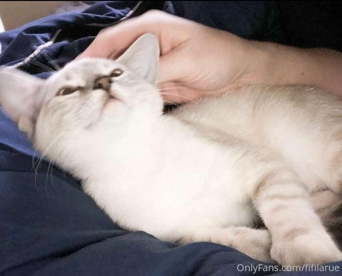 She’s a pretty little kittie 😻 unlock to get a glimpse of th..