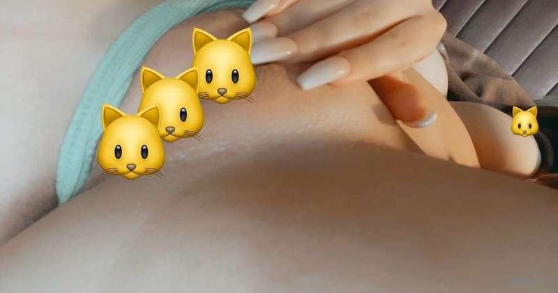 tip $8 to remove the emojis 🐱 & get this bundle