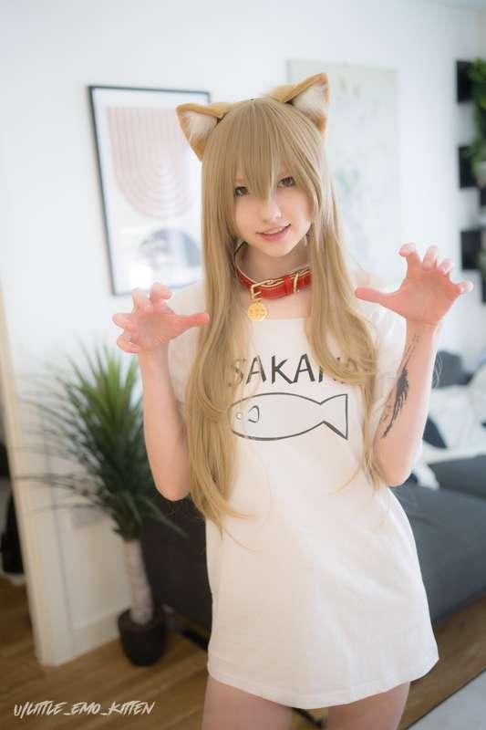 little_emo_kitten image #12