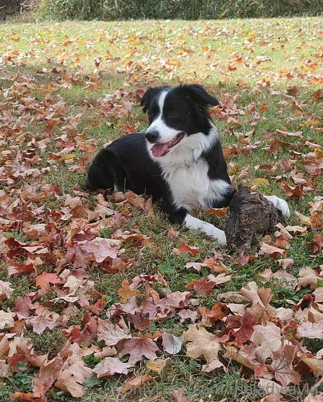 Upon request.

My Ellie monster.
