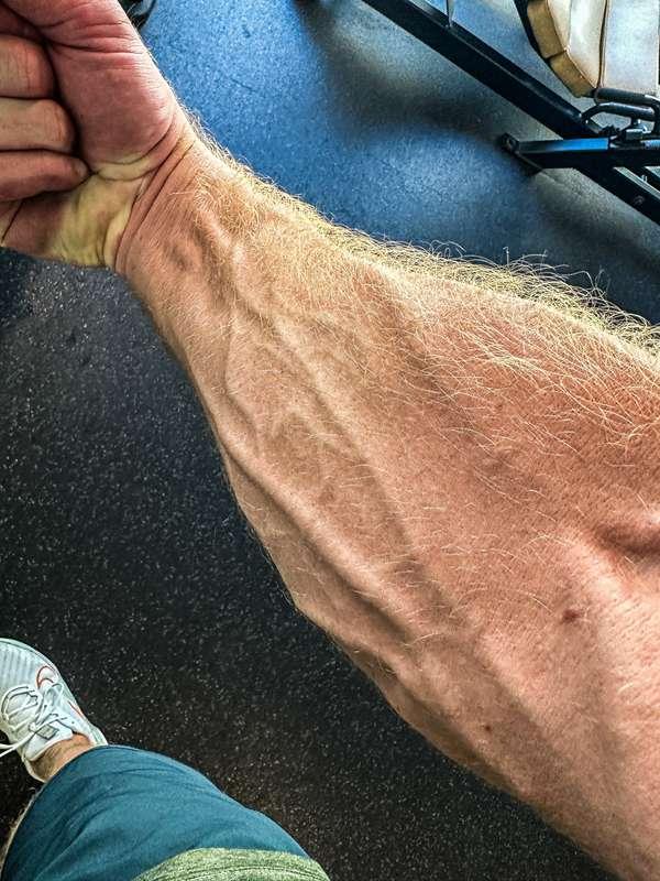 Imagine how good these veins would look with my hand around ..