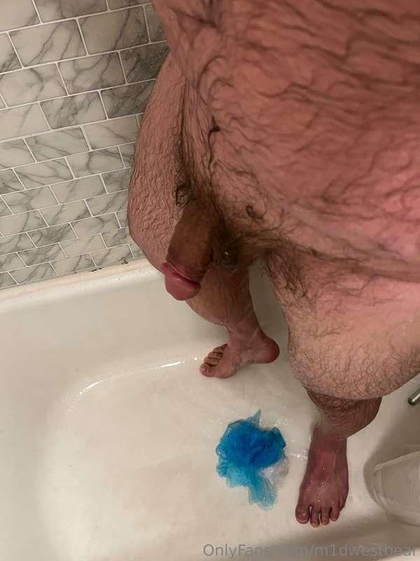 m1dwestbear image #7