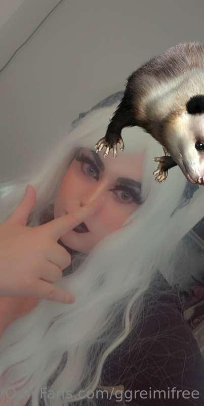 ggreimifree image #2