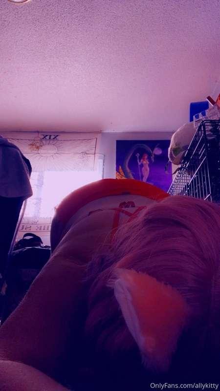 allykitty image #1