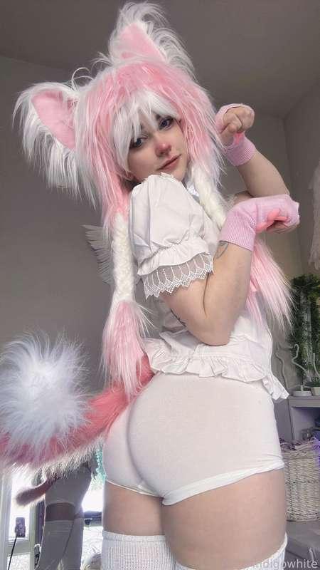 indigowhite image #133