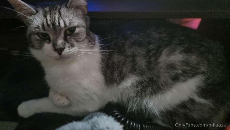 Today my beloved Megaera passed away. May she rest in piece ..