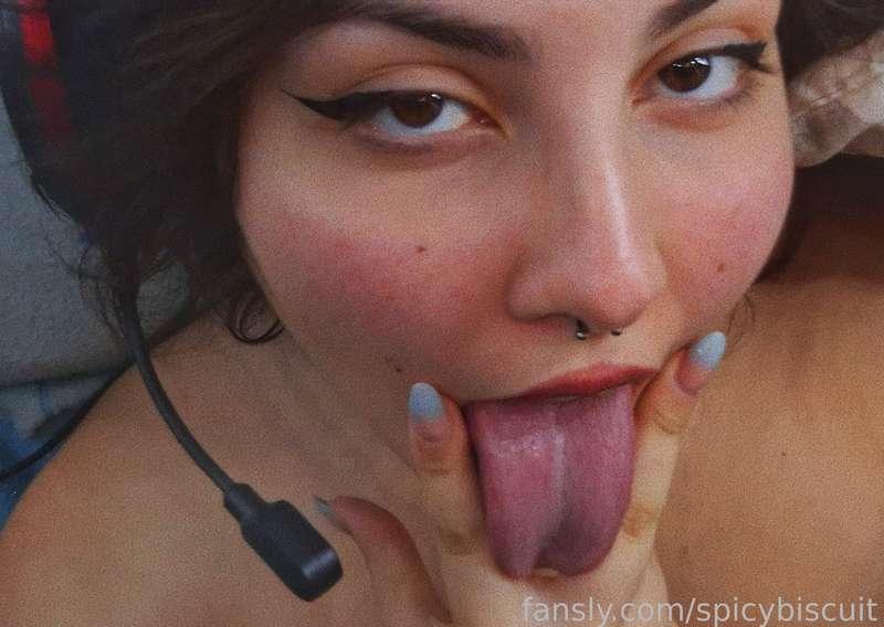 spicybiscuit image #1