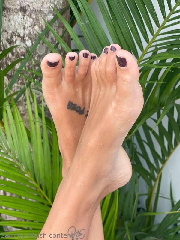 sammysfeetngreet image #0