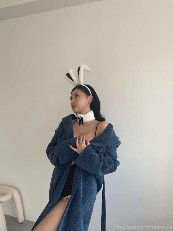 Silly Rabbit 🐰