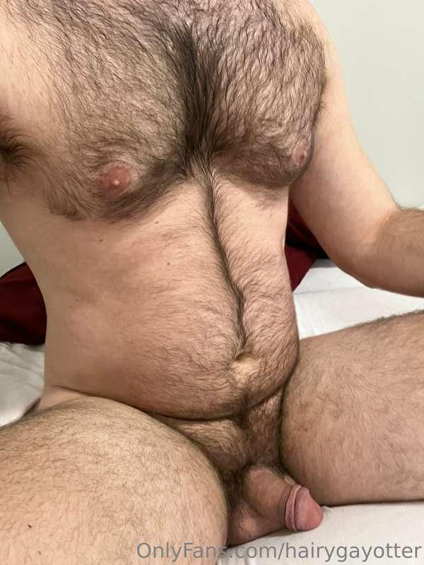 hairygayotter image #5