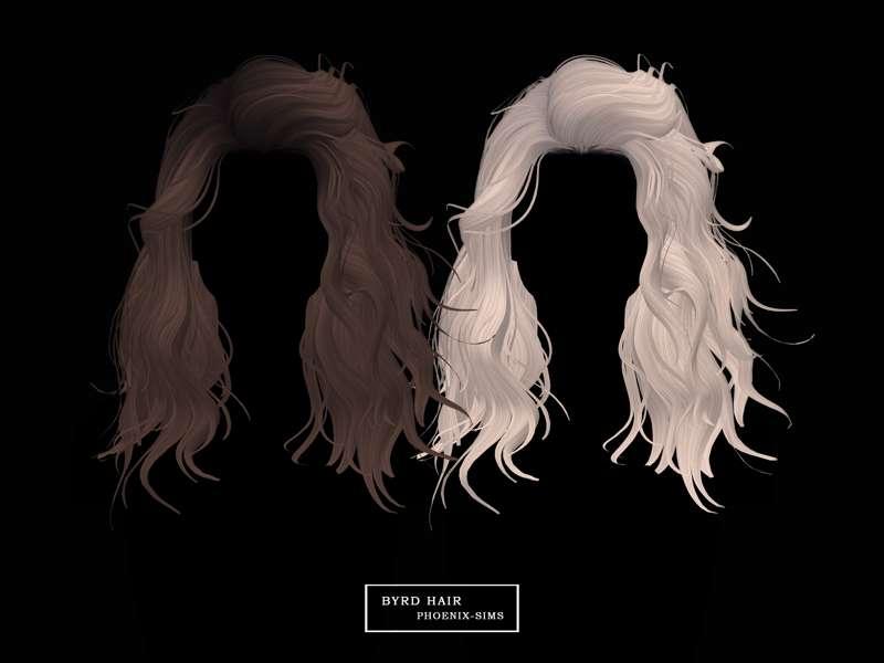 BYRD HAIR