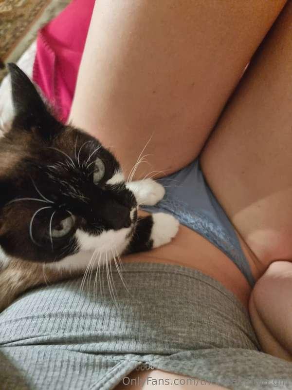 the.real.ninja.girl image #1