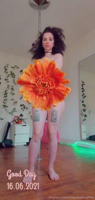 ninapoledancerfree image #1