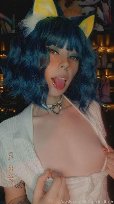 littlepixiekitten image #6